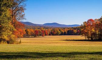 Peaceful fall landscape, open field, colorful trees, distant mountains photo