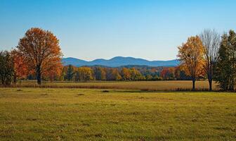 Peaceful fall landscape, open field, colorful trees, distant mountains photo