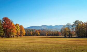 Peaceful fall landscape, open field, colorful trees, distant mountains photo