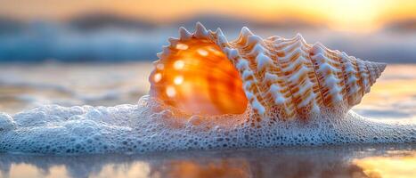 A large shell is on the beach, with the ocean in the background. The shell is open, revealing its interior. The scene is serene and peaceful, with the ocean waves gently lapping at the shore photo