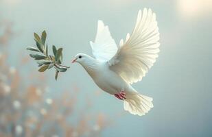 A white dove is flying with a leaf in its beak. Concept of peace and tranquility, as the dove is a symbol of peace and freedom. Dove of peace photo