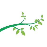 Horizontal banner with tree branch and green leaf, isolated on white. For background, footer, or nature design vector