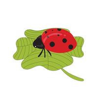 a drawing of a ladybug on a leaf. vector