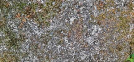 Grunge wall texture background. Old dirty concrete photo