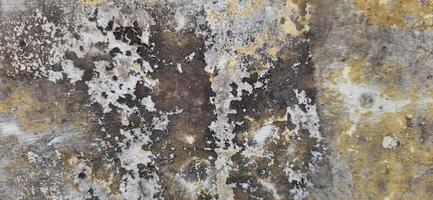 Grunge wall texture background. Old dirty concrete photo