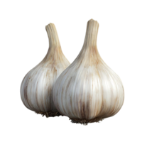 Garlic Bulbs with Transparent Background, Isolated Garlic with No Background, Fresh Garlic Cloves in Focus, Two Garlic Bulbs Close-up, Aromatic Garlic Flavor png