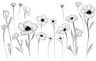 Hand painted black linear flower collection vector