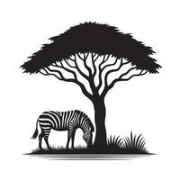 silhouette of zebra under tree in field of savannah vector
