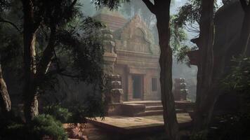 Mayan Temple Surrounded by Trees video