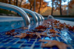 Autumn Leaves in Swimming Pool - Seasonal Nature Photo for Print, Poster, Card Design