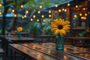 Sunflower in Vase on Rainy Cafe Table with Festive String Lights - Perfect for Posters, Cards, and Print Designs photo