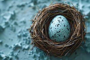 Easter Nest with Speckled Egg - Spring Decoration, Nature Photography, Rustic Background photo