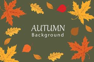 Autumn background with colorful fall leaves. Fall background, web banner, or flyer design. Template for advertising, print, packaging, social media vector