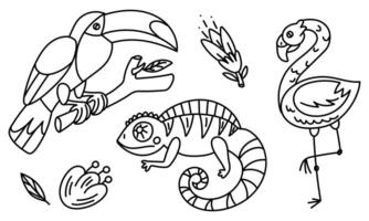 set of sketches of Mexican animals with flowers. Flamingos, chameleon, toucan. Hand-drawn in black and white lines. contrasting elements are highlighted. The black outline of the collection vector