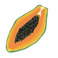 Ripe half papaya with seeds in naive style. Stylized Papaya isolated on transparent background. Tropical exotic fruit illustration vector