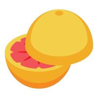 Half grapefruit showing the pulp isometric illustration vector