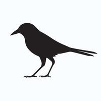 Bird silhouette pattern design vector
