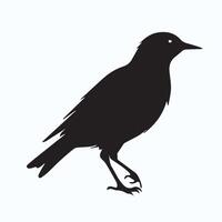 Bird silhouette graphics vector