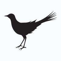 beautiful bird silhouette icons vector