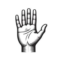 Hand palm outline image with white background vector
