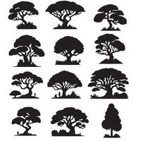 various deciduous trees silhouettes on the white background vector