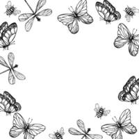 frame, postcard with dragonfly, butterflies and bumblebee. Hand painted linear insect. Graphic clipart isolated on background. Botanical and wedding illustration. For designers, vector