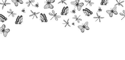 frame, postcard with dragonfly, butterflies and bumblebee. Hand painted linear insect. Graphic clipart isolated on background. Botanical and wedding illustration. For designers, invit vector