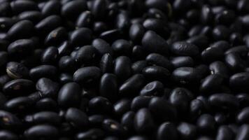Black beans seeds background, macro beans, closeup bean video