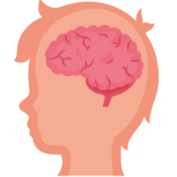 A person's head with a brain in it png
