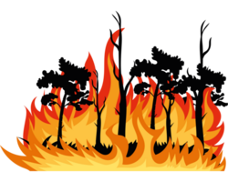 A fire with trees and grass on it png