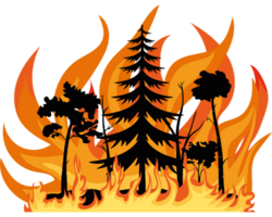 A forest fire with trees and flames png