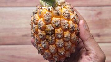 A hand holding a pineapple with a bunch of seeds video