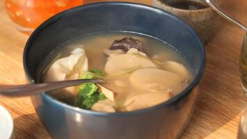 A bowl of soup with noodles and mushrooms in it video
