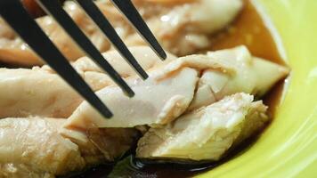 A close up of a fork with some chicken video