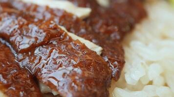 A close up of a plate of rice and meat video