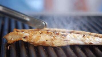 Baking and roasting fish on barbecue grill. video