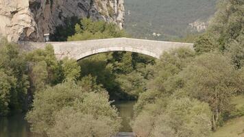 Beautiful green landscape. Action. A quiet place with a bridge over the river overgrown with green trees with large branches. video