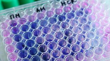Analyzes. Stock footage.A laboratory that does experiments and checks chemical compositions of different colors. video