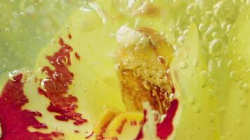 Beautiful yellow flower with stream of bubbles. Stock footage. Flower in bubbling water. Close-up of streams of bubbles in water with flower video