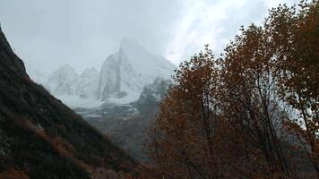 View of the high white mountain ranges. Creative. Take a walk in the gloomy cold weather high in the mountains with a number of growing trees. video