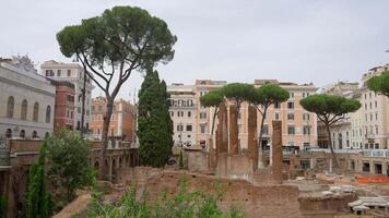 Ancient square in Rome with relics of the past. Action. Green trees growing in the town square surrounded by ancient buildings. video
