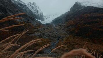 Huge mountains overgrown with trees. Creative. A bird's-eye view of a cold landscape with mountains and gushing thin rivers flowing between the stones. video