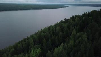 Gray landscape with forest and fog. Clip.Dark view of the river in the forest with green tall trees with a gray sky above. video
