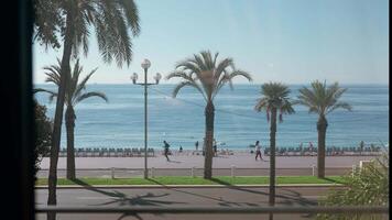 Tropical background with vacationing tourists. Action. A tourist place near palm trees and the ocean and the bright shining sun. video