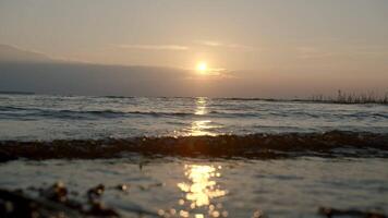 Close-up of small waves on background of sunset. Creative. Rolling small waves on seashore with sunset horizon. Waves on background of sea sunset video