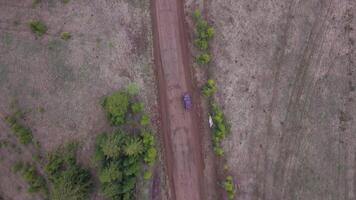 Aerial view of a rural road in the middle of green endless meadows. Clip. Top view of field and a narrow road with a moving car. video