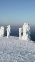 Bird's-eye view of the snowy mountains. Clip. Huge snow piles with big snowy mountains and a flying helicopter is visible against the blue sky. video