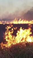 Aerial view of wildfire in forest in cloudy summer day. Footage. Strong wildfire. Forest fires aerial view. Slow motion video