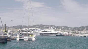 View of the moored white ships. Action.The wind-tossed sea with a view of ships and boats and huge green mountains and a blue background are visible. video