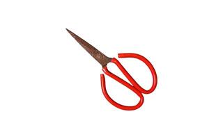 Scissors on a white background. photo